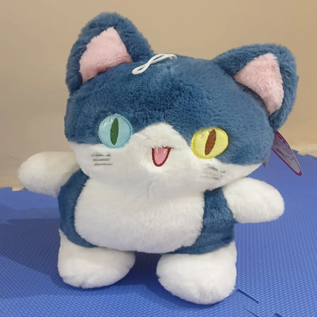 2045-DST-CAT STANDING